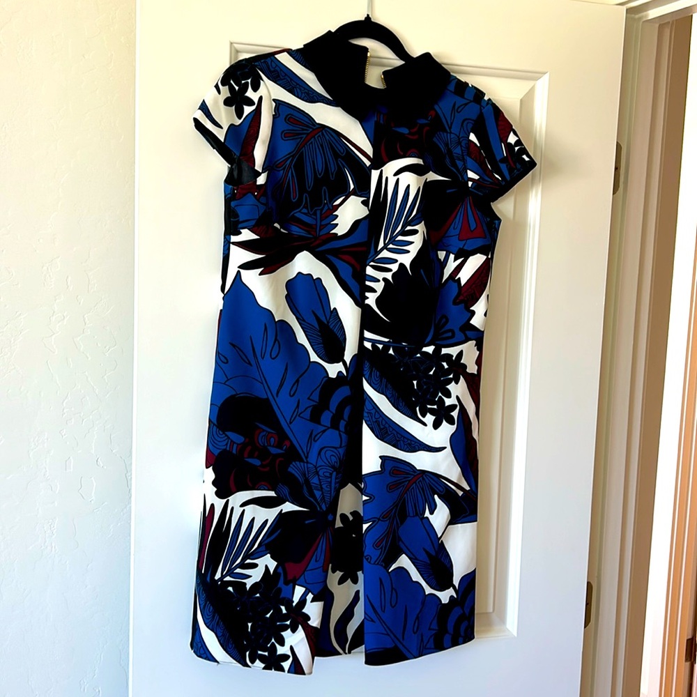 TES BAKER DRESS